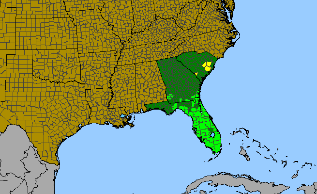 The range of Hydrolea corymbosa